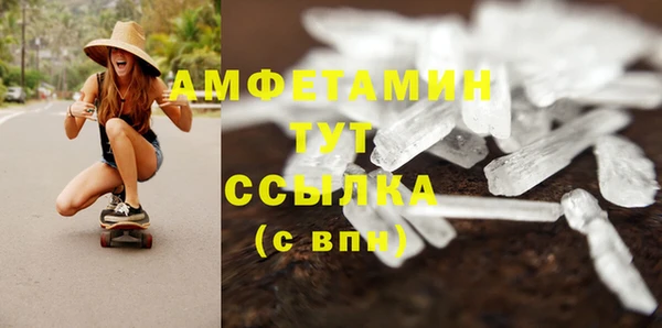 прущие грибы Арсеньев