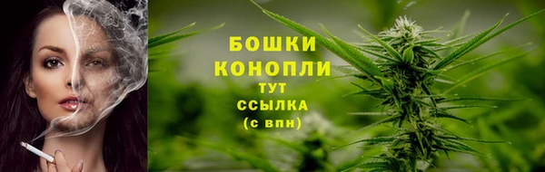 прущие грибы Арсеньев