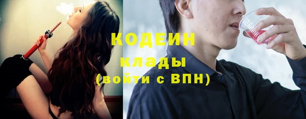 прущие грибы Арсеньев