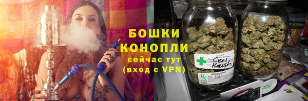 прущие грибы Арсеньев