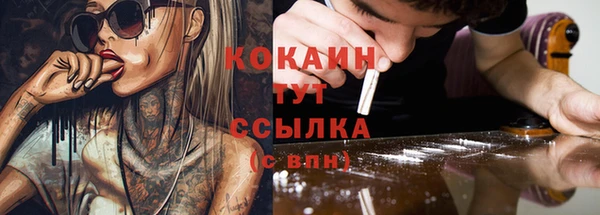 прущие грибы Арсеньев