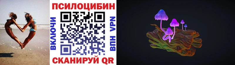 Псилоцибиновые грибы мухоморы  гидра как войти  Приозерск 