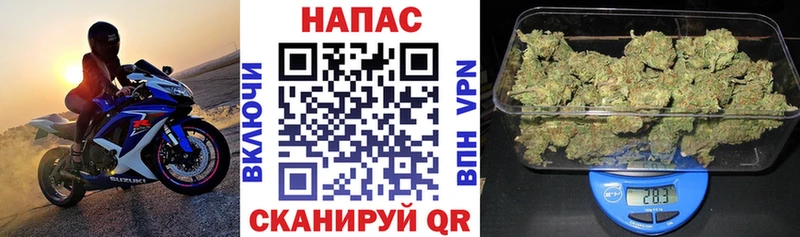 Конопля White Widow  Приозерск 